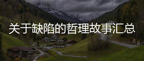 的哲总关于缺陷理故事汇