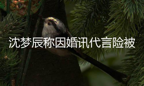 抛弃讯代行业被撤婚容沈梦因婚言险易被辰称结