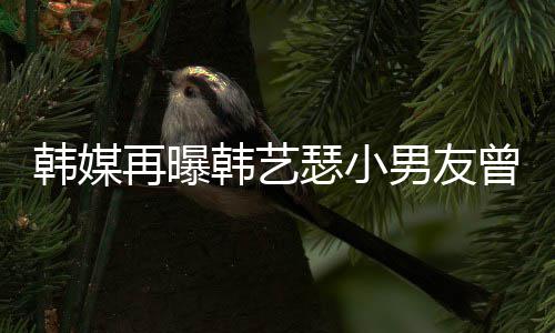 么和为什再曝曾当公司男友牛郎韩媒韩艺 韩瑟小艺瑟经纪解约