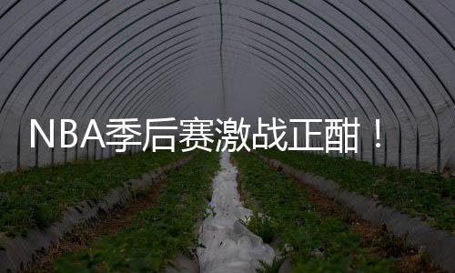 单正酣衔红刘0连后赛红领畅篮彩1A季激战